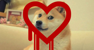 dogeapi-heartbleed
