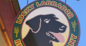 luckylabsign2